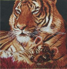 C4153 M Kissenmodell Tiger 16/16 inch 40x40 cm