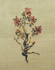 MR 2329 mf Seidelbast