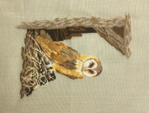 MR 2342 mf Schleiereule 14x18 inch 18x26 cm