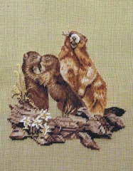 MR 2350 mf Murmeltier-Familie 14x18 inch 22x22 cm