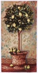1055 TT Zitronenbäumchen 30x60 cm