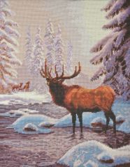 C4186 TT Hirsch 39x49 cm