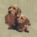 WO 76 mf Dackelpärchen 14/14 inch 22x24 cm